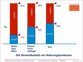 Die Verwertbarkeit der Nahrungsmittelproteinen